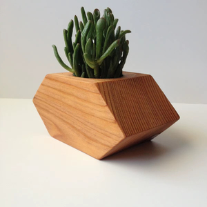 Jardinière surélevée en bois massif de grande qualité à prix raisonnable avec pieds pour la culture de légumes et d'herbes aromatiques en extérieur, sur patio ou dans un jardin. - Product Image 1
