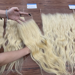 ผมต่อเวียดนามแท้สี 613 แบบลูกไม้ปิดหน้าผาก 5x5 HD Lace Closure สีบลอนด์ธรรมชาติแบบลอน - Product Image 2