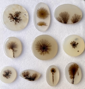 Lote al por mayor de cabujones de ágata musgosa dendrítica natural, gemas sueltas de formas variadas para la fabricación de joyas - Product Image 3