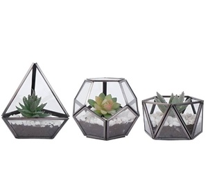 Nouveau terrarium en verre géométrique, mini serre d'intérieur avec couvercle pivotant pour plantes succulentes, pot de table pour la maison et le jardin - Product Image 1