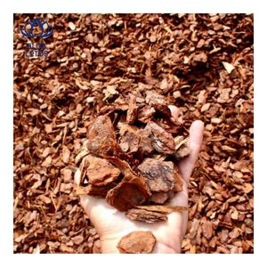 Corteza de Pino de Alta Calidad, Piezas de Corteza de Pino Seleccionadas para Aireación del Suelo y Protección de la Temperatura de las Raíces de las Plantas - Product Image 1