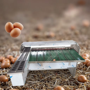 Commercial <b>Egg</b> Grading Machine Chicken <b>Egg</b> Weight Grading and Sorting Machine <b>Egg</b> Sorter Machine Automatic - Product Image 2