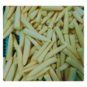 VENTE EN GROS BÉBÉ MAÏS CONGELÉ | FRAIS DE FERME ET PRÊT POUR L'EXPORTATION - Product Image 4