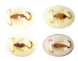 Golden Scorpion Real Specimen Plastic Cabochon Modern Oval 30x40 mm Glow Flat Bottom for Crafts and Jewelry Making - Product Image 5