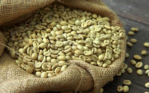 Wholesale Vietnam Specialty Robusta Roasted <b>Beans</b> Size 16 AA+ Grade USDA Certified Direct Factory Export Specialty Coffee - Product Image 6