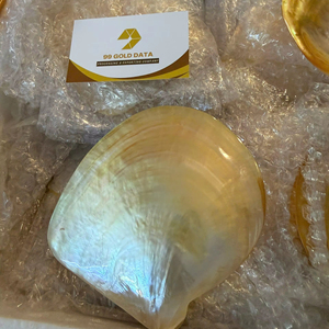 ถาดเปลือกหอยมุกธรรมชาติขัดเงา จานใส่ไข่ปลาคาเวียร์ งานฝีมือประณีต ของขวัญสุดหรู ขายส่ง - Product Image 1