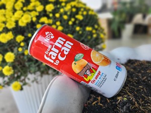 Jugo de Naranja Natural de Alta Calidad al por Mayor, Bebida de 250 ml en Lata Delgada, Jugo de Fruta Instantáneo con Sabor Natural - Product Image 6