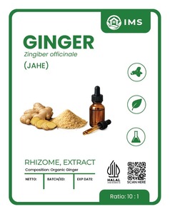 Polvo de Extracto de Jengibre - Product Image 2
