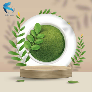 Mejor Precio de Fábrica Hoja de Moringa Seca y Polvo de Hoja de Moringa Natural de Origen Vietnamita Venta al por Mayor a Granel Empaque en Bolsa con Cierre Zip para el Mercado - Product Image 1