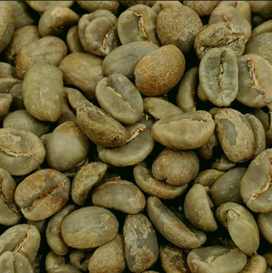 Vietnam Organic Green <b>Coffee</b> <b>Beans</b> Arabica S18 Wholesale Direct Export USDA Organic Certified Low Defect TNFOOD AA+ Grade - Product Image 5