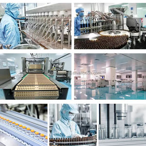 Beste Kwaliteit Oem Odm Probiotische Detox Afslanksupplement Voor Volwassenen, Matcha En Chocoladesmaken - Product Image 6