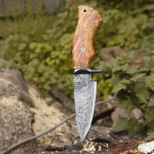 Couteau de chasse et de dépecage artisanal en acier Damas, lame fixe de 10 pouces, manche en bois de rose, garde-lame Damas, pointe clip, ambidextre - Product Image 2