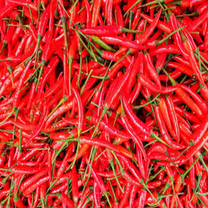 Piment rouge entier indien 100% pur de qualité supérieure avec une durée de conservation de 24 mois pour les usines de transformation et de production commerciales - Product Image 4