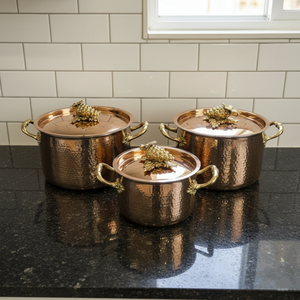 Ensemble de casseroles et marmites haut de gamme en acier inoxydable martelé, compatibles induction, écologiques et élégants, pour service buffet à domicile - Product Image 1