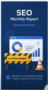 Herramienta de Auditoría y Estrategia SEO Basada en Datos para la Versión de Internet, para Mejorar el Rendimiento del Sitio Web - Product Image 2
