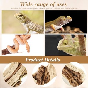 Figurine de lézard en bois de teck sculptée à la main - Design traditionnel écologique 20x10x5 cm Décoration d'intérieur - Vente en gros B2B - Product Image 5