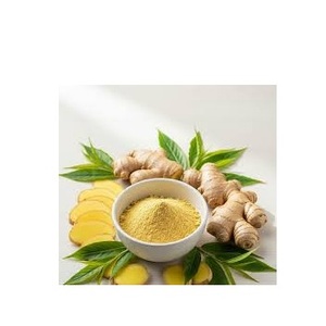 Extrait de racine de gingembre sauvage en poudre, 60% de gingérols, qualité alimentaire, complément alimentaire naturel à base de plantes, 5 kg, provenant d'Inde - Product Image 5