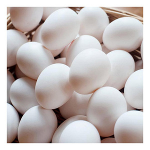 Œufs de poule blancs frais de ferme, en gros, pour la consommation quotidienne et la transformation - Product Image 5