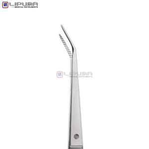 5 Pcs Dental Scaling <b>Kit</b> for <b>Small</b> Dogs Veterinary Oral Hygiene Instruments Pet Tartar Removal <b>Tools</b> Manual Surgical Instruments - Product Image 5