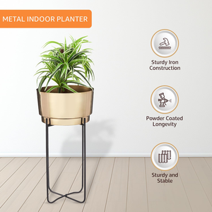 Maceta Moderna de Hierro con Soporte, Resistente para Uso en Interiores y Exteriores, Decoración para Hogar, Oficina, Jardín y Balcón - Product Image 5