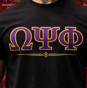 Camisetas personalizadas de fraternidad griega, ropa universitaria con estampado personalizado, camisetas de algodón suave para hombre, camisetas de chenilla - Product Image 2