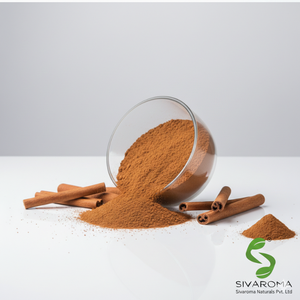 Extracto de Canela en Polvo de Alta Pureza, Ideal para Formulación de Sabores a Gran Escala y Aplicaciones de Desarrollo de Productos Comerciales - Product Image 4