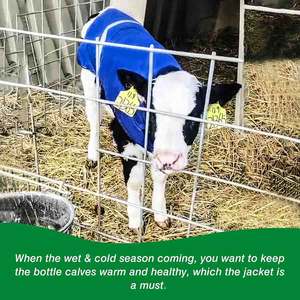 High Quality Waterproof Insulated Calf <b>Blanket</b> Windproof Oxford Cloth Newborn Livestock Jacket Quilted Warm Coat Cold Weather - Product Image 6
