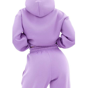 Ensemble de survêtement à capuche pour femmes, couleur unie, manches longues, taille élastique, vêtements décontractés d'automne, streetwear léger, 100% coton - Product Image 4