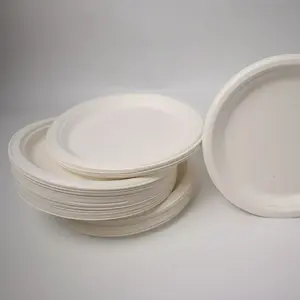 Platos de Bagazo de Calidad Premium, Vajilla Desechable Ecológica para Servicio de Alimentos, Catering y Exportación a Granel - Product Image 1