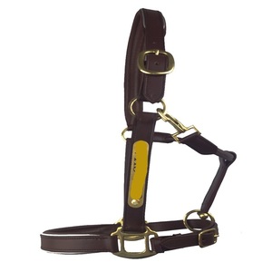 Harnais d'équitation en cuir de qualité supérieure, style anglais, accessoire de selle en cuir véritable, harnais personnalisé en cuir avec nom. - Product Image 2