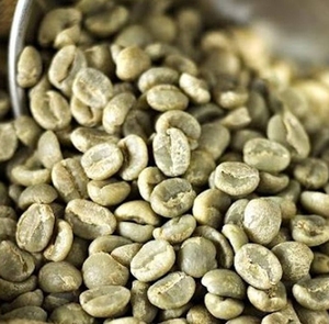 Grano de Café Verde Especialidad Arábica H1 Mokka, Cultivo Común en Son La, Vietnam, Café Detech, 95% Cereza Roja, 24 Meses de Vida Útil - Product Image 3