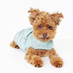 ODM Personalizado Impresión personalizada Ecológico Sólido Lujo Moda Perro Arnés para mascotas para perros pequeños a grandes - Product Image 5