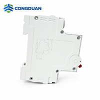 Disjoncteur miniature 1P DZ47-63 6kA Courbe C 230V 400V pour boîtier de distribution