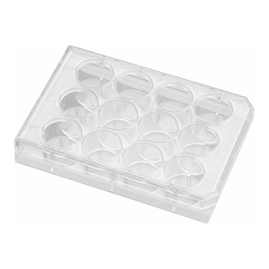 Plaques d'insertion pour culture cellulaire Falcon avec couvercle pour applications de support perméable - Product Image 1