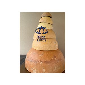 Bol en coquille de calebasse naturelle, best-seller |   Bol en gourde sculpté à la main, respectueux de l'environnement - Product Image 1