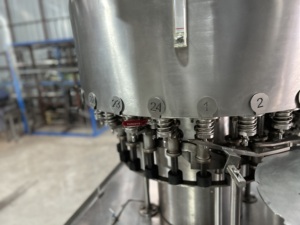 Máquina Automática de Llenado de Bebidas de 150 BPM con Control PLC, Ahorro de Energía, para Botellas PET de 200 ml, Alta Precisión - Product Image 2