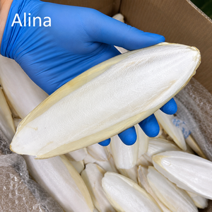 PREMIUM DRIED CUTTLEFISH BONE VIETNAM / NATURAL CUTTLEBONE FOR BIRDS PETS AND ANIMAL FEED / Ms. Alina - Product Image 1