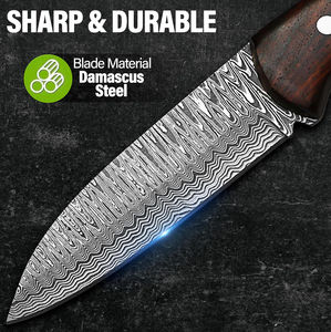 Cuchillo Bowie Personalizable de Acero Inoxidable con Alto Contenido de Carbono para Caza y Camping, Mango de Madera OEM, Borde Dentado para Bushcraft, para Hombres - Product Image 5