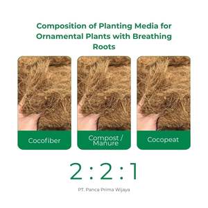 Fibra de Coco 100% Natural de Alta Calidad, 2L, Sustrato Orgánico para Cultivo con 24 Meses de Vida Útil, para Cultivo Hidropónico y de Frutas - Product Image 3