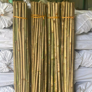 เสาไม้ไผ่ธรรมชาติจากเวียดนาม สำหรับงานก่อสร้าง ผลิตเฟอร์นิเจอร์ ทำนั่งร้าน ตกแต่งสวน และใช้ในงานโครงสร้างภายนอกอาคาร - Product Image 1