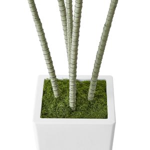 Albero Artificiale di Dracaena da 1,5 m, Palma Finta, Piante Tropicali Grandi, Vaso Alto Bianco con Alberi Grandi in Fibra di Vetro e Seta Sintetica - Product Image 4