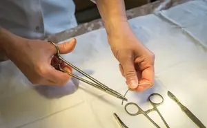 Porte-aiguille chirurgical Mayo Hegar 2026, prix de gros, manche argenté, faible MOQ - Product Image 3