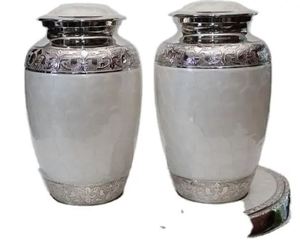 Urna Funeraria de Latón para Mascotas Adultas y Caja Funeraria para Cenizas Humanas, Estilo Ataúd, Ossuarium - Product Image 2