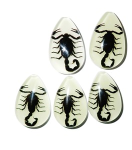 Black Scorpion Real Specimen Plastic Cabochon Pear Cut <b>Top</b> 46x30 mm Glow Flat Bottom for Crafts and Jewelry Making - Product Image 5