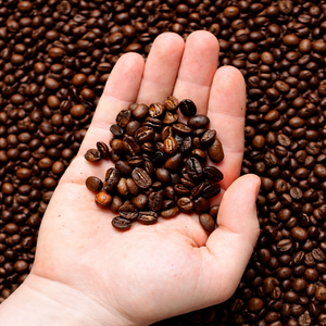 เมล็ดกาแฟคั่วเวียดนามพรีเมียม / รสชาติเข้มข้น / คุณอลีนา - Product Image 6