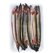 Pescado Goby Congelado de Primera Calidad de Vietnam - Filete y Cuerpo envasados al Vacío - Product Image 4