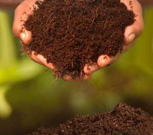 ดินมะพร้าวสีน้ำตาลเข้มธรรมชาติแบบแผ่น ย่อยสลายได้ เป็นมิตรกับสิ่งแวดล้อม สำหรับปลูกต้นไม้ในสวน กระถางต้นไม้ สถานรับเลี้ยงต้นไม้ และการเกษตร - Product Image 1