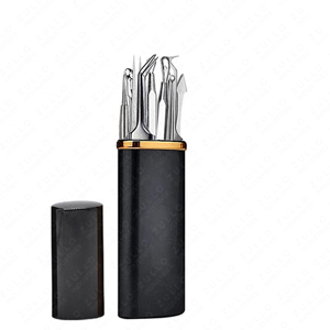High Precision 10 Piece Facial Pore Cleaning Kit Stainless Steel Acne and Blackhead Extractor Tools Custom Label - Product Image 2