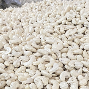 Prix d'usine compétitif – Noix de cajou brutes de haute qualité SANTIGO W240 du Vietnam, sac de 22,68 kg, sans taxes - Product Image 1