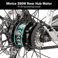 Vélo électrique LAMASSU FXED pour adultes, moteur 250W, batterie 36V 15Ah, 20 MPH, autonomie de 53 miles, transmission par courroie Gates, noir et argent
